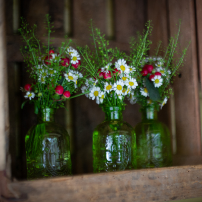trois petit bouquet de marguerite et baies de roses séchées dans vase en verre vert